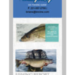 Walleye King Responsive Design