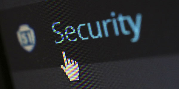 Securing WordPress Websites